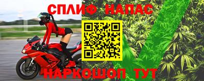 прущие грибы Нарткала