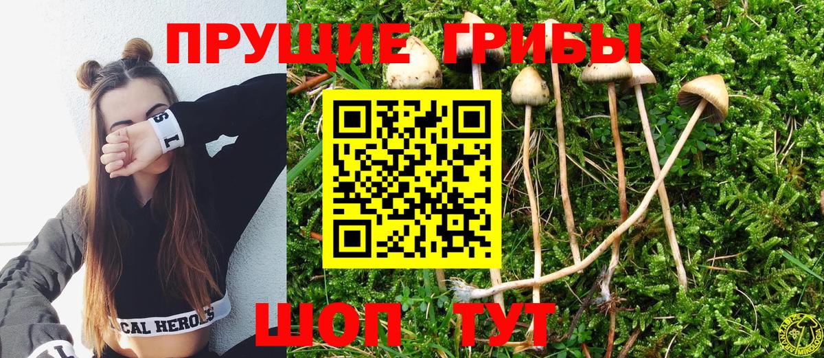 Семилуки  Галлюциногенные грибы GOLDEN TEACHER  Вход с VPN 